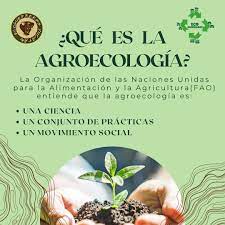 1 De Junio: Día De La Agroecología | Primicias Rurales