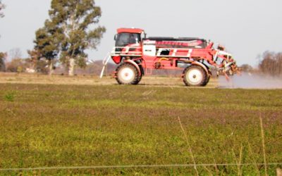 Evaluación de indicadores biológicos de suelo en sistemas con intensificación agrícola en el Sudeste de Córdoba