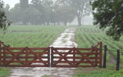 Prevén ascenso térmico, con lluvias sobre noreste y centro-este del área agrícola