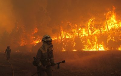 Los incendios forestales crecerán exponencialmente con el cambio climático