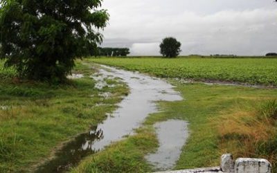 Prevén precipitaciones sobre gran parte del área agrícola