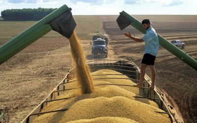 Eventos externos en plena campaña: el rol del campo sobre el cambio climático