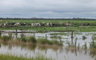 Agricultura y ganadería en gran parte de la zona más productiva están a tiempo de prevenir