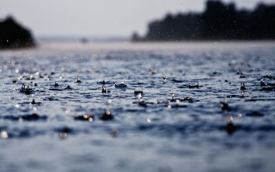 Tres mitos del clima explicados por el Servicio Meteorológico Nacional