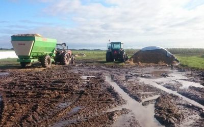 Alertan sobre impacto de las lluvias en la cosecha de soja de la principal zona del país