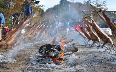 Festival Provincial del Chef Patagónico