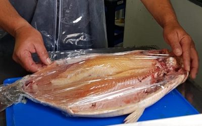 Pescadores presentan un espacio habilitado para la venta directa