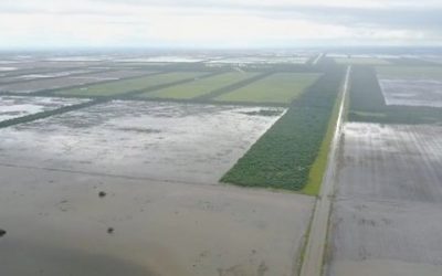 La inundación en Chaco es la más grave de los últimos 30 años