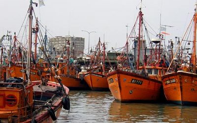 Crecieron los desembarques de productos pesqueros en puertos de la Provincia de Buenos Aires