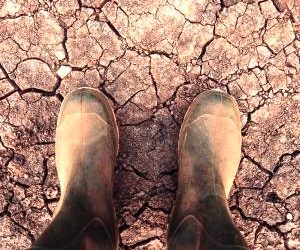 Para prevenir el próximo Dust Bowl, dele una oportunidad al  suelo