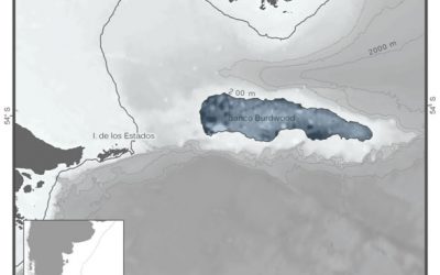 Áreas marinas protegidas, avanzan en un nuevo Plan de Manejo en Namuncurá – Banco Burdwood