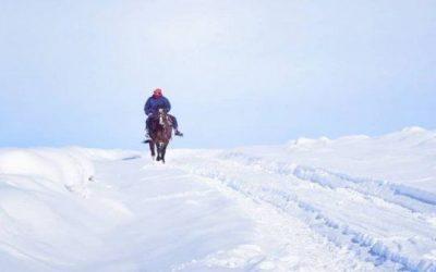 Agricultura convocó al Consejo Federal Agropecuario por las fuertes nevadas en la Patagonia