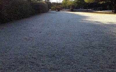 Prevén bajas temperaturas y precipitaciones escasas en la mayor parte del área agrícola