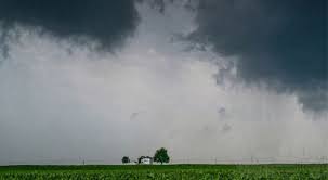 Prevén tiempo frío seguido por marcado ascenso térmico en  nordeste y sudeste del área agrícola