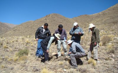 Estudian el impacto del cambio climático en los ecosistemas áridos