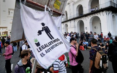 Cannabis: el Gobierno legalizó el autocultivo para uso medicinal y el expendio de aceites en farmacias