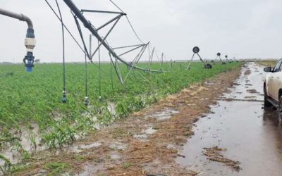 Norte de Córdoba: 100 mm. en Cañada de Luque, corte de Ruta 17 y daños en la zona rural