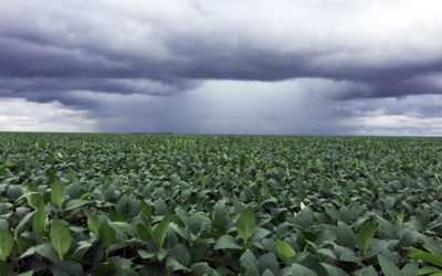 Prevén moderado ascenso térmico acompañado por precipitaciones de variada intensidad