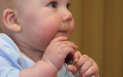 La carne de pollo es un alimento apto para incorporar en las primeras comidas de los bebés.