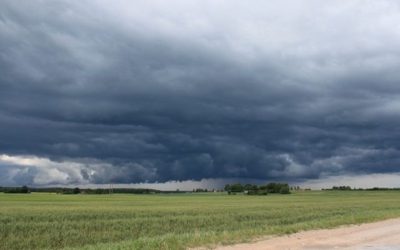 Alerta del Servicio Meteorológico Nacional por lluvias y tormentas en zona núcleo