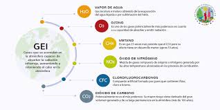 Eco-Parálisis: cómo combatir el síntoma provocado por la crisis ambiental de esta década