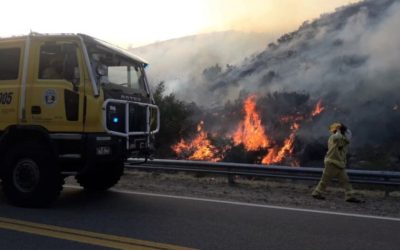 “Lo que el fuego se llevó”: La política escasea en esfuerzos por prevenir la destrucción de ecosistemas