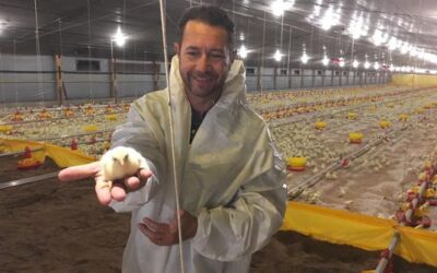 Empezó con 12 gallinas y su cuarta generación invierte US$27 millones, Las Camelias es una de las que más exporta