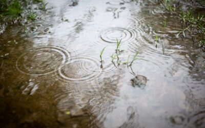 Un verano marcado por extremos y lluvias desiguales