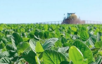 Farmer selling: un factor clave para entender lo que está ocurriendo con los precios en el agro