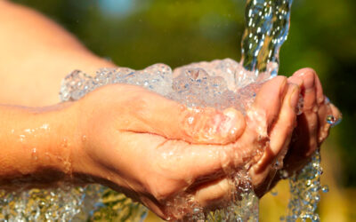 El agua, el desafío de las sociedades modernas