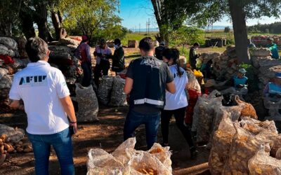 Detectaron explotación laboral en campos de papa en San Luis y Córdoba