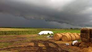 Prevén precipitaciones de variada intensidad sobre todo en el norte y centro del área agrícola