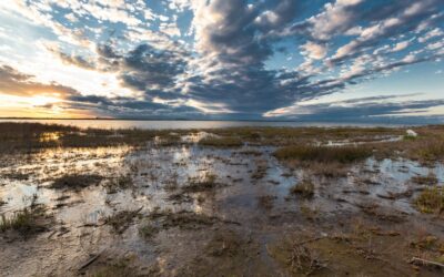 Argentina cuenta con un nuevo Parque Nacional en Córdoba