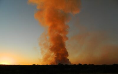 Estudian la frecuencia histórica mensual de los incendios