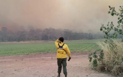 Incendios en Jujuy arrasaron con más de 4.500 hectáreas en las yungas