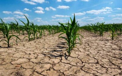 Mucho más que asomarse a ver si llueve: la cocina del pronóstico trimestral