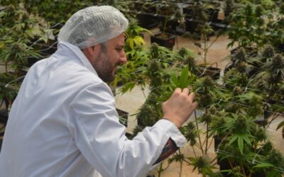 El INTA consolida su rol estratégico en el desarrollo del cannabis