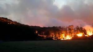 Combaten un incendio forestal en el norte del Valle de Punilla de Córdoba