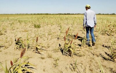 La sequía en el campo argentino es la peor desde que comenzó el nuevo siglo