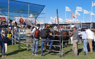 Expoagro 2023: La carne argentina mostrará toda su potencialidad