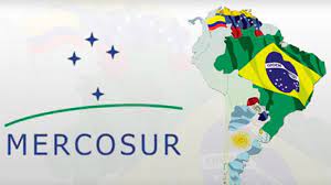 Las Cooperativas del Mercosur presentes en el INAES