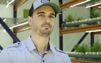 Granjas urbanas inteligentes, el negocio del futuro en el que incursiona Córdoba (producen superalimentos y biogás con desechos orgánicos)