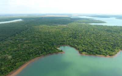 La Reserva de Biosfera Itaipú protegida con Buenas Prácticas Agropecuarias