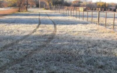 Prevén temperaturas bajo lo normal y precipitaciones escasas en la mayor parte del área agrícola