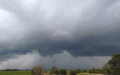 Prevén tiempo cálido y precipitaciones abundantes sobre todo el sur y el este del área agrícola