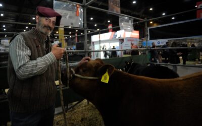 “Camino Viejo”, la cabaña Angus que nació en pandemia  y este año debutó en Palermo