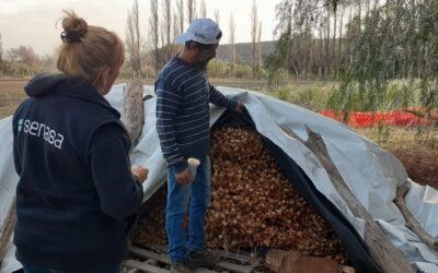 Agricultura Familiar: Se busca fortalecer producciones en la provincia de San Luis