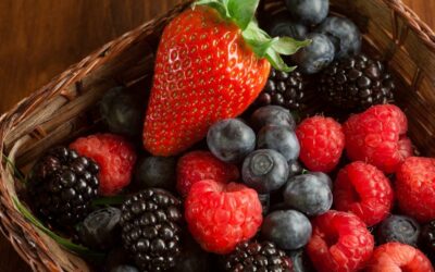 Berries son el segundo producto de exportación con más valor de México