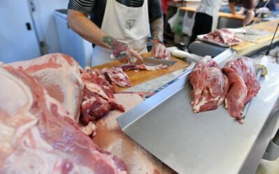 El precio de la hacienda bajó 15%, pero los matarifes no creen que repercuta en las carnicerías