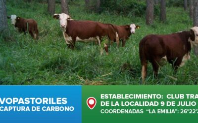 Jornada: “Sistema silvopastoriles, madera, carne y huella de carbono”, el IPCVA estará en Misiones